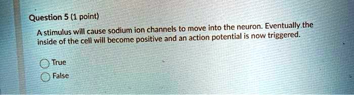 Question 5 (1 point)
A stimulus will cause sodium ion channels to move into the neuron. Eventually the inside of the cell will become positive and an action potential is now triggered.
True
False