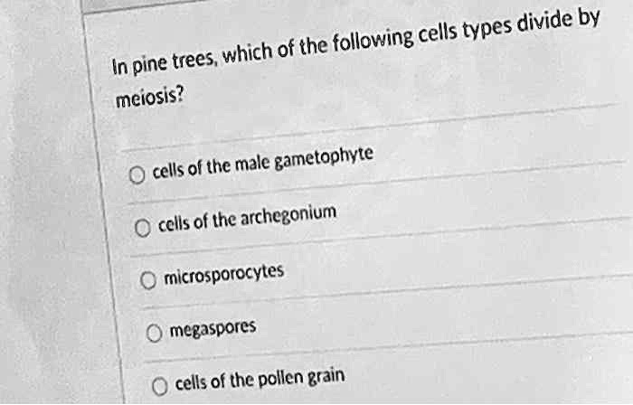 [GET ANSWER] cells types divide by trees which of the following in pine ...