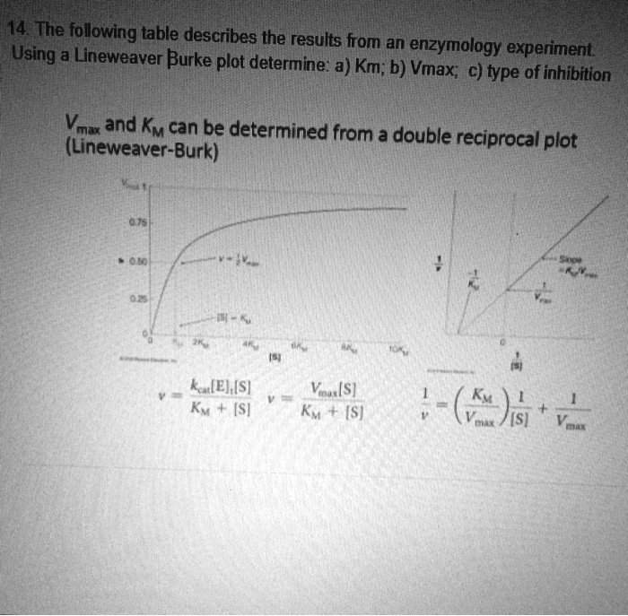 SOLVED: The following table describes the results from an enzymology ...