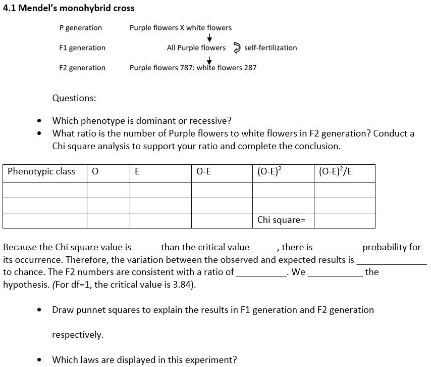 Monohybrid Cross F2 Generation