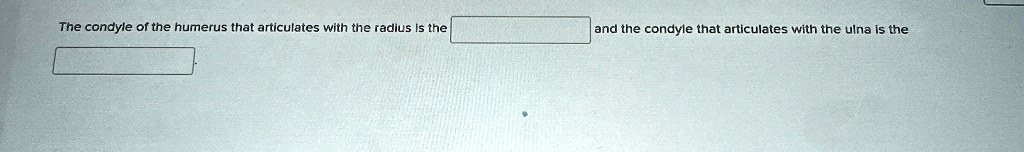 The condyle of the humerus that articulates with the radius is the 
and the condyle that articulates with the ulna is the