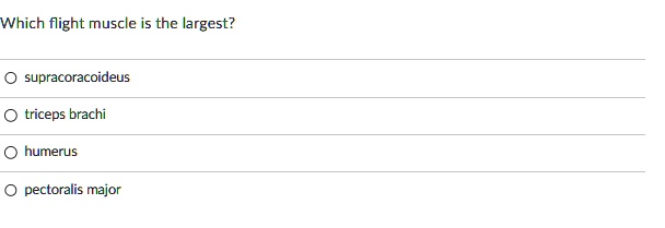 Solved Which Flight Muscle Is The Largest Supracoracoideus