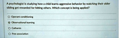 a psychologist is studying how a child learns aggressive behavior by watching their older sibling get rewarded for hitting others which concept is being applied operant conditioning observat 95227