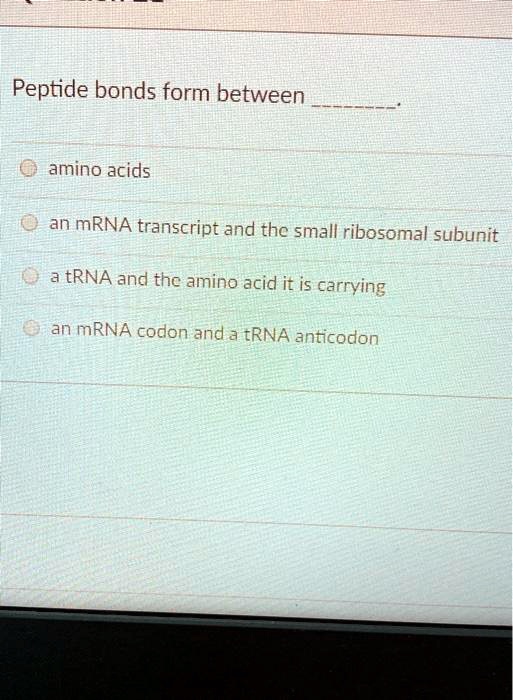 SOLVED Peptide bonds form between amino acids an mRNA transcript and