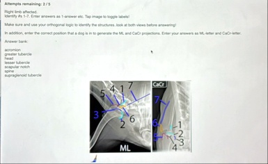 attempts remaining 25 right limb affected identify s 1 7 enter answers as 1 answer etc tap image to toggle labels make sure and use your orthogonal logic to identify the structures look at b 08095