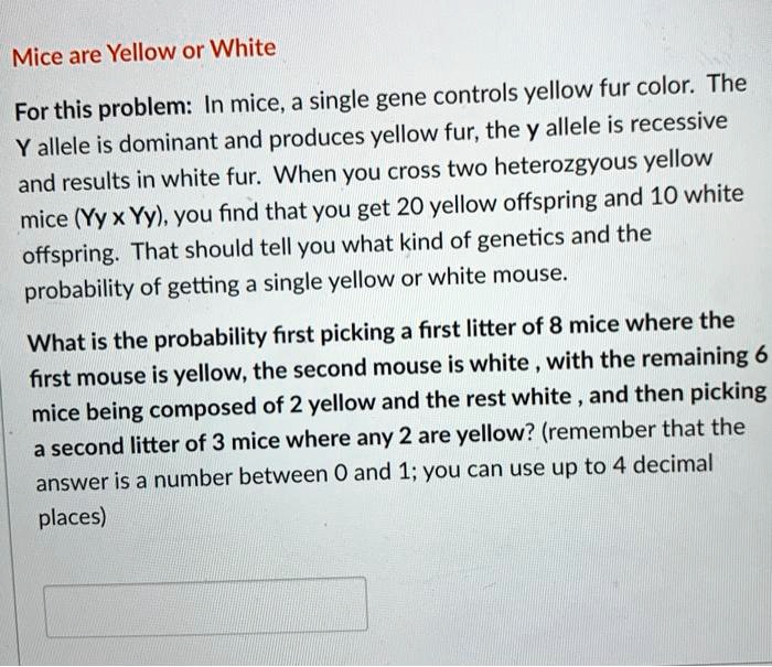 solved-mice-are-yellow-or-white-controls-yellow-fur-color-the-for-this-problem-in-mice-single