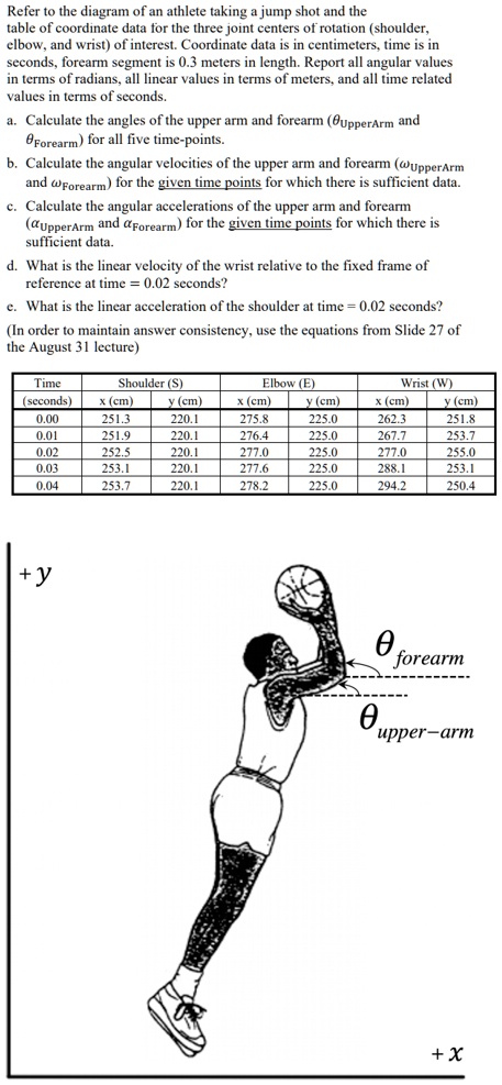 SOLVED: Refer to the diagram of an athlete taking a jump shot and the ...