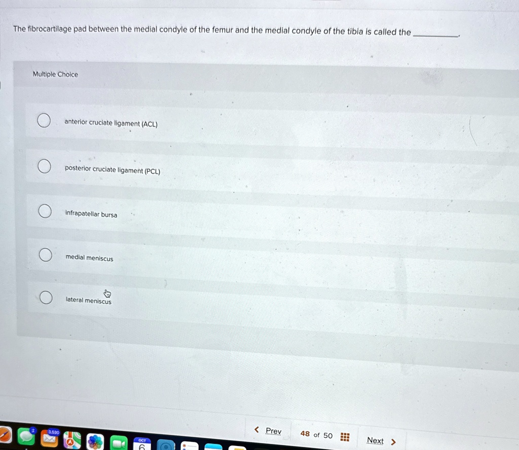 The fibrocartilage pad between the medial condyle of the femur and the ...