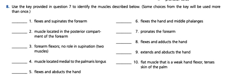 Solved: A. Biceps Brachii B. Brachialis C. Brachioradialis D. Extensor 