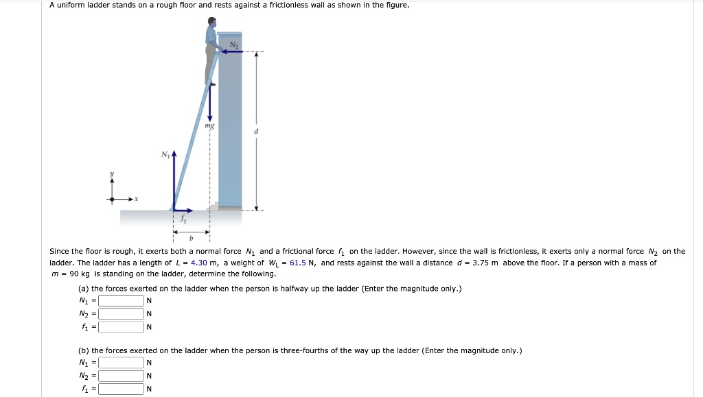 Uniform ladder stands on floor and rests against frictionless wall ...