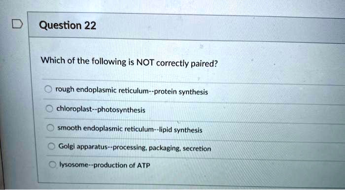 Which of the following is NOT correctly paired?
rough endoplasmic reticulum–protein synthesis
chloroplast–photosynthesis
smooth endoplasmic reticulum–lipid synthesis
Golgi apparatus–processing, packaging, secretion
lysosome–production of ATP