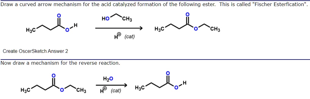 Draw a curved arrow mechanism for the acid catalyzed formation of the following ester. This is called "Fischer Esterification".

Now draw a mechanism for the reverse reaction.