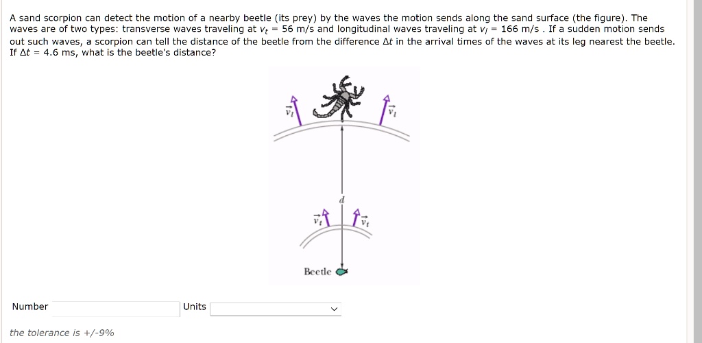 A sand scorpion can detect the motion of a nearby beetle (its prey) by the waves the motion sends along the sand surface (the figure). The waves are of two types: transverse waves traveling at vt = 56 m/s and longitudinal waves traveling at vl = 166 m/s . If a sudden motion sends out such waves, a scorpion can tell the distance of the beetle from the difference ?t in the arrival times of the waves at its leg nearest the beetle. If ?t = 4.6 ms, what is the beetle's distance?