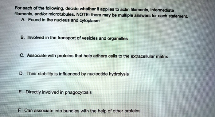 For each of the following, decide whether it applies to actin filaments, intermediate filaments, and/or microtubules. NOTE: there may be multiple answers for each statement.
A. Found in the nucleus and cytoplasm
B. Involved in the transport of vesicles and organelles
C. Associate with proteins that help adhere cells to the extracellular matrix
D. Their stability is influenced by nucleotide hydrolysis
E. Directly involved in phagocytosis
F. Can associate into bundles with the help of other proteins.