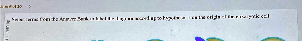 SOLVED: Section 6 of 10 Select terms from the Answer Bank to label the ...