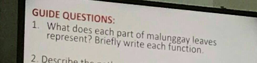 What Does Each Part Of Malunggay Leaves Represent