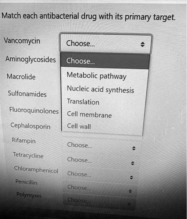 Match each antibacterial drug with its primary target.
Vancomycin
Aminoglycosides
Macrolide
Sulfonamides
Fluoroquinolones
Cephalosporin
Rifampin
Tetracycline
Chloramphenicol
Penicillin
Polymyxin
Choose...
Metabolic pathway
Nucleic acid synthesis
Translation
Cell membrane
Cell wall