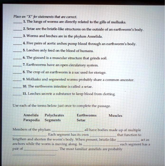 SOLVED: Place an "X" for statements that ure correct; L The lungs - of