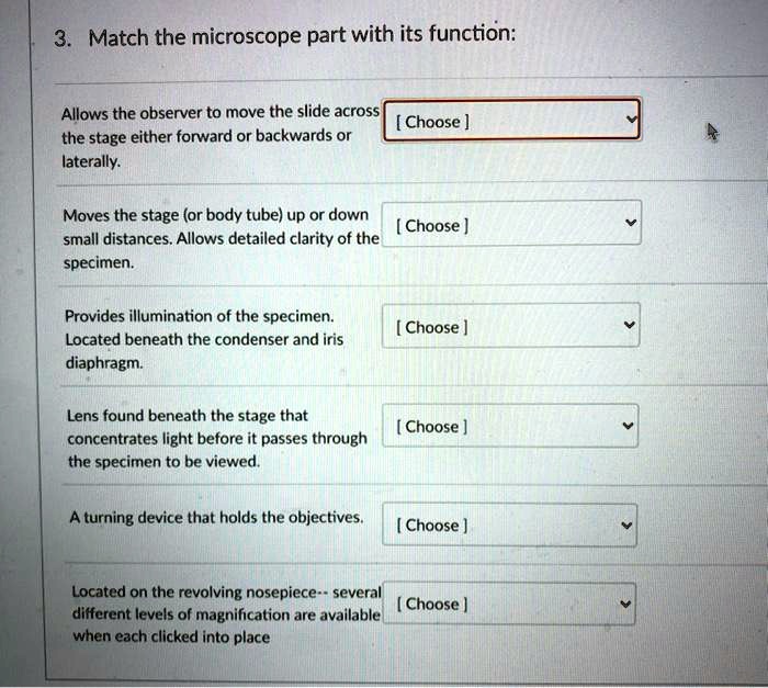 SOLVED Match the microscope part with its function Allows the
