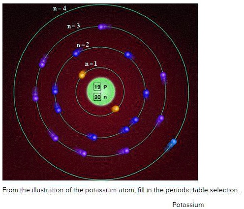 potassium number of electrons in the n 3 shell