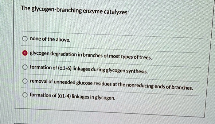 The glycogen-branching enzyme catalyzes:

none of the above.
glycogen degradation in branches of most types of trees.
formation of (?1-6) linkages during glycogen synthesis.
removal of unneeded glucose residues at the nonreducing ends of branches.
formation of (?1-4) linkages in glycogen.
