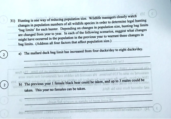 31) Hunting is one way of reducing population size. Wildlife managers closely watch changes in population numbers of all wildlife species in order to determine legal hunting ‘bag limits’ for each hunter. Depending on changes in population size, hunting bag limits are changed from year to year. In each of the following scenarios, suggest what changes might have occurred in the population in the previous year to warrant these changes in bag limits. (Address all four factors that affect population size.)

a) The mallard duck bag limit has increased from four ducks/day to eight ducks/day.

b) The previous year 1 female black bear could be taken, and up to 3 males could be taken. This year no females can be taken.