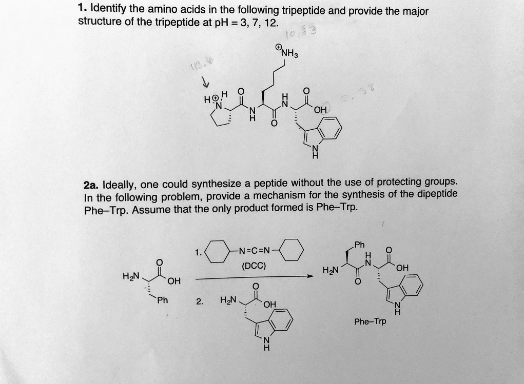 1. Identify the amino acids in the following tripepti… SolvedLib