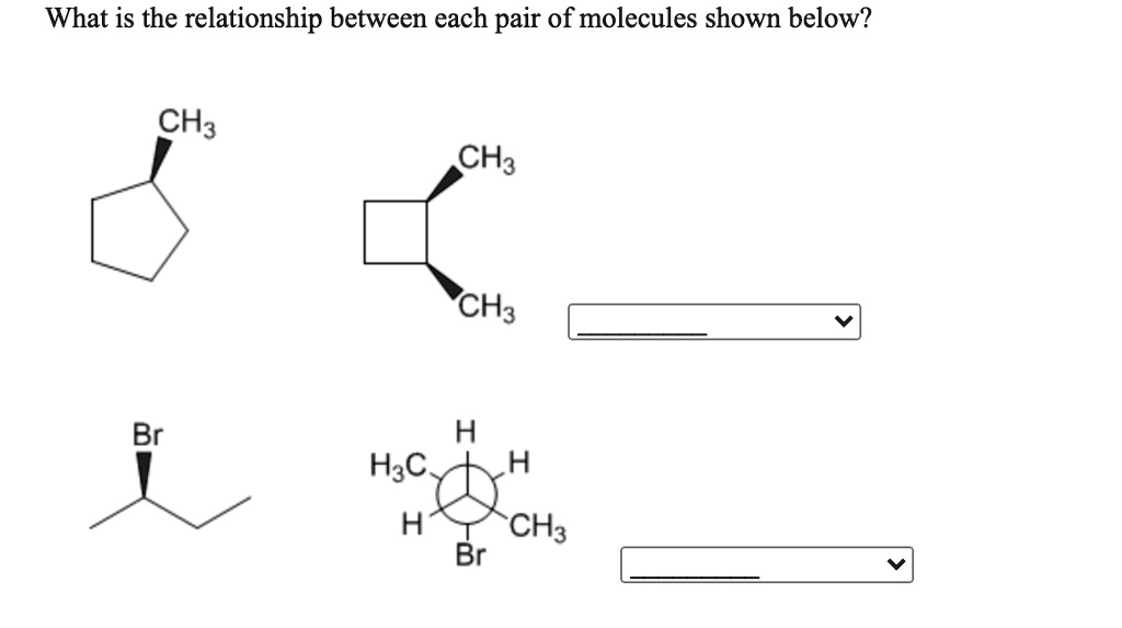 Solved What Is The Relationship Between Each Pair Of Molecules Shown Below Ch3 Ch3 Br A H3c H 4067