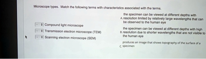 Microscope types. Match the following terms with characteristics associated with the terms.

- Compound light microscope
- Transmission electron microscope (TEM)
- Scanning electron microscope (SEM)

the specimen can be viewed at different depths with
A. resolution limited by relatively large wavelengths that can be observed to the human eye

the specimen can be viewed at different depths with high
B. resolution due to shorter wavelengths that are not visible to the human eye

produces an image that shows topography of the surface of a
C. specimen