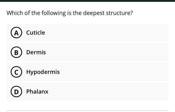 Which of the following is the deepest structure?
A) Cuticle
B) Dermis
C) Hypodermis
D) Phalanx