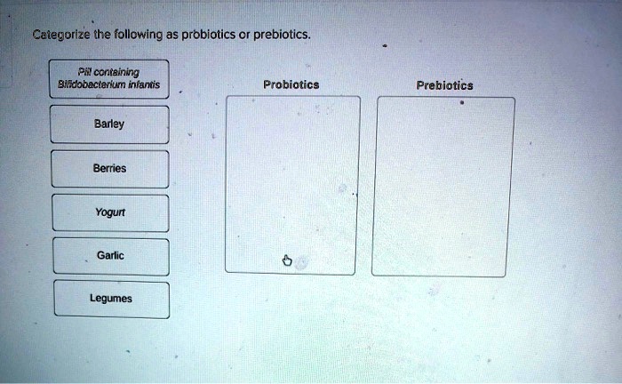 Categorize the following as probiotics or prebiotics.

Pill containing Bifidobacterium infantis
Barley
Berries
Yogurt
Garlic
Legumes

Probiotics
Prebiotics