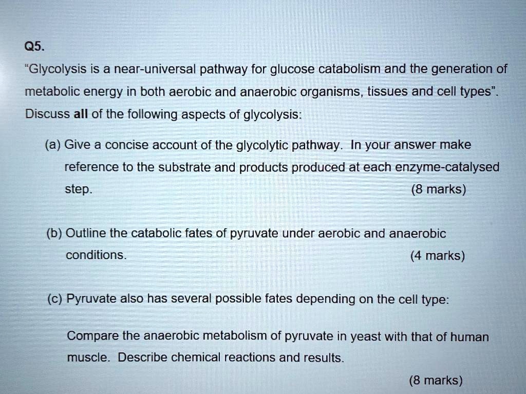 Which Of The Following Is A Result Of Glycolysis SOLVED: Q5. "Glycolysis is a near-universal pathway for glucose