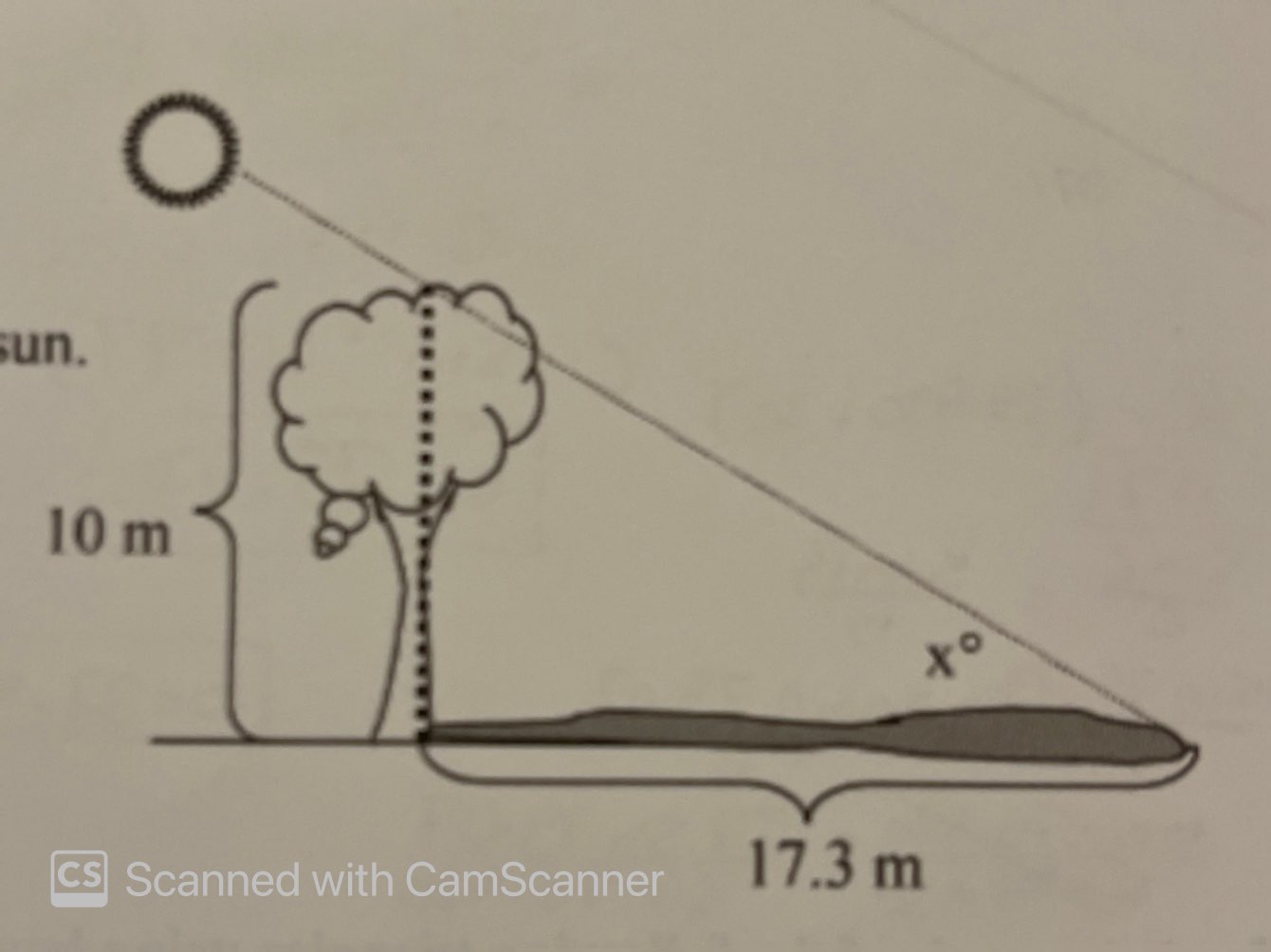 solved-a-tree-10-meters-high-casts-a-17-3-meters-shadow-find-the