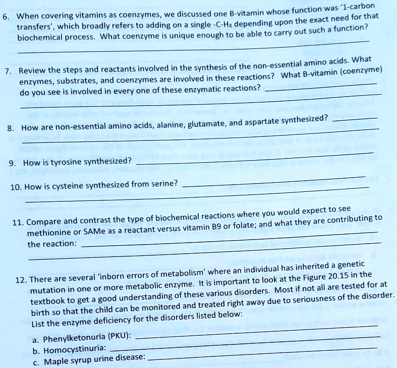 6. When covering vitamins as coenzymes, we discussed one B-vitamin whose function was '1-carbon transfers', which broadly refers to adding on a single -C-Hx depending upon the exact need for that biochemical process. What coenzyme is unique enough to be able to carry out such a function?

7. Review the steps and reactants involved in the synthesis of the non-essential amino acids. What enzymes, substrates, and coenzymes are involved in these reactions? What B-vitamin (coenzyme) do you see is involved in every one of these enzymatic reactions?

8. How are non-essential amino acids, alanine, glutamate, and aspartate synthesized?

9. How is tyrosine synthesized?

10. How is cysteine synthesized from serine?

11. Compare and contrast the type of biochemical reactions where you would expect to see methionine or SAMe as a reactant versus vitamin B9 or folate; and what they are contributing to the reaction:

12. There are several 'inborn errors of metabolism' where an individual has inherited a genetic mutation in one or more metabolic enzyme. It is important to look at the Figure 20.15 in the textbook to get a good understanding of these various disorders. Most if not all are tested for at birth so that the child can be monitored and treated right away due to seriousness of the disorder. List the enzyme deficiency for the disorders listed below:
a. Phenylketonuria (PKU):
b. Homocystinuria:
c. Maple syrup urine disease: