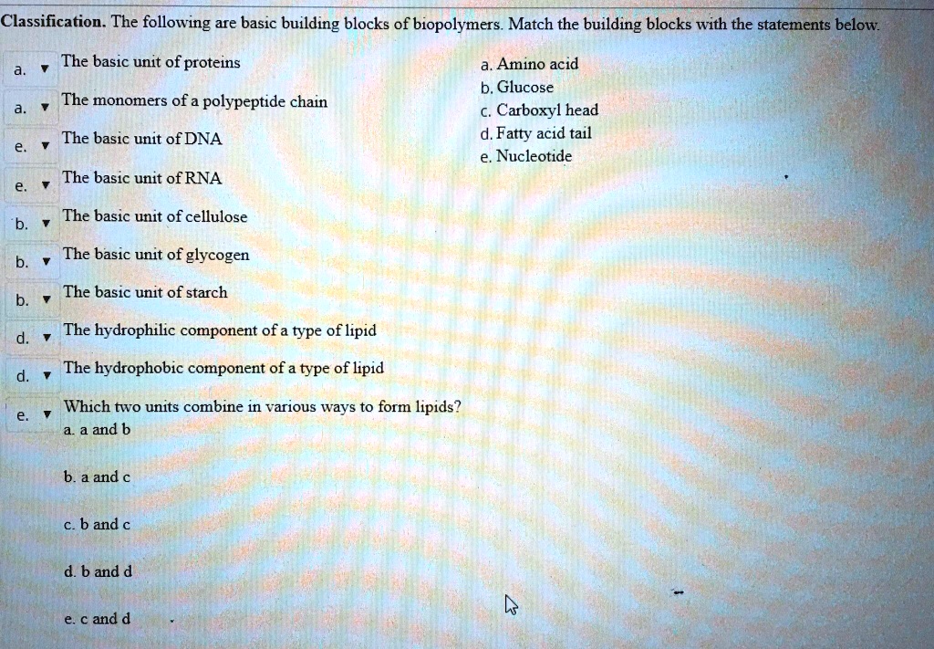 SOLVEDClassification. The following are basic building blocks of