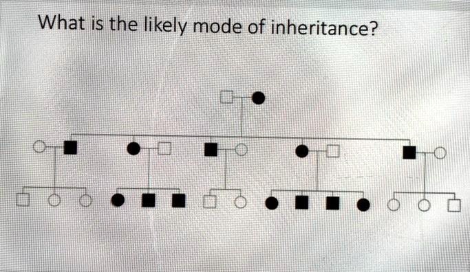 Solved Select The Most Likely Mode Of Inheritance For The Free