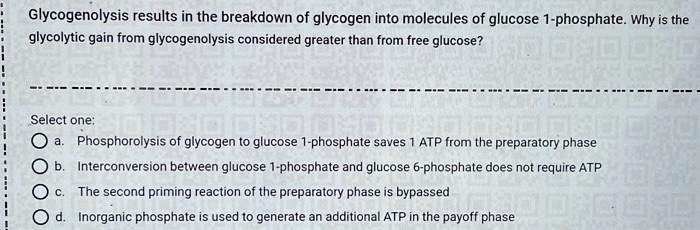 Glycogenolysis results in the breakdown of glycogen into molecules of glucose 1-phosphate. Why is the glycolytic gain from glycogenolysis considered greater than from free glucose?

Select one:
a. Phosphorolysis of glycogen to glucose 1-phosphate saves 1 ATP from the preparatory phase
b. Interconversion between glucose 1-phosphate and glucose 6-phosphate does not require ATP
c. The second priming reaction of the preparatory phase is bypassed
d. Inorganic phosphate is used to generate an additional ATP in the payoff phase