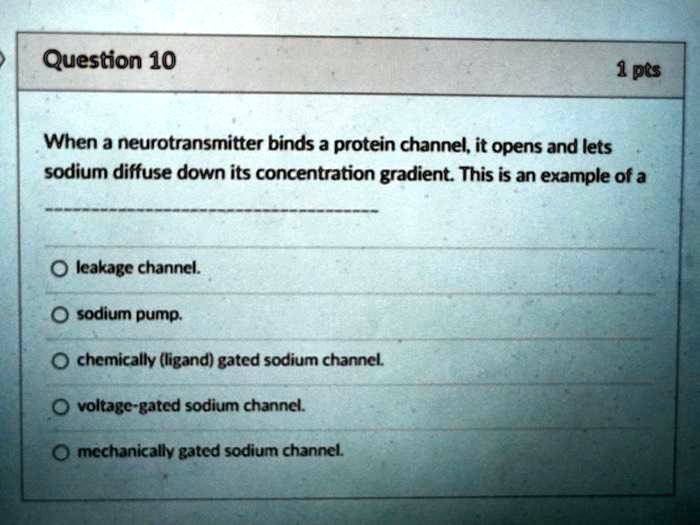 SOLVED Question 10 1pts When a neurotransmitter binds a protein channel,it opens and lets