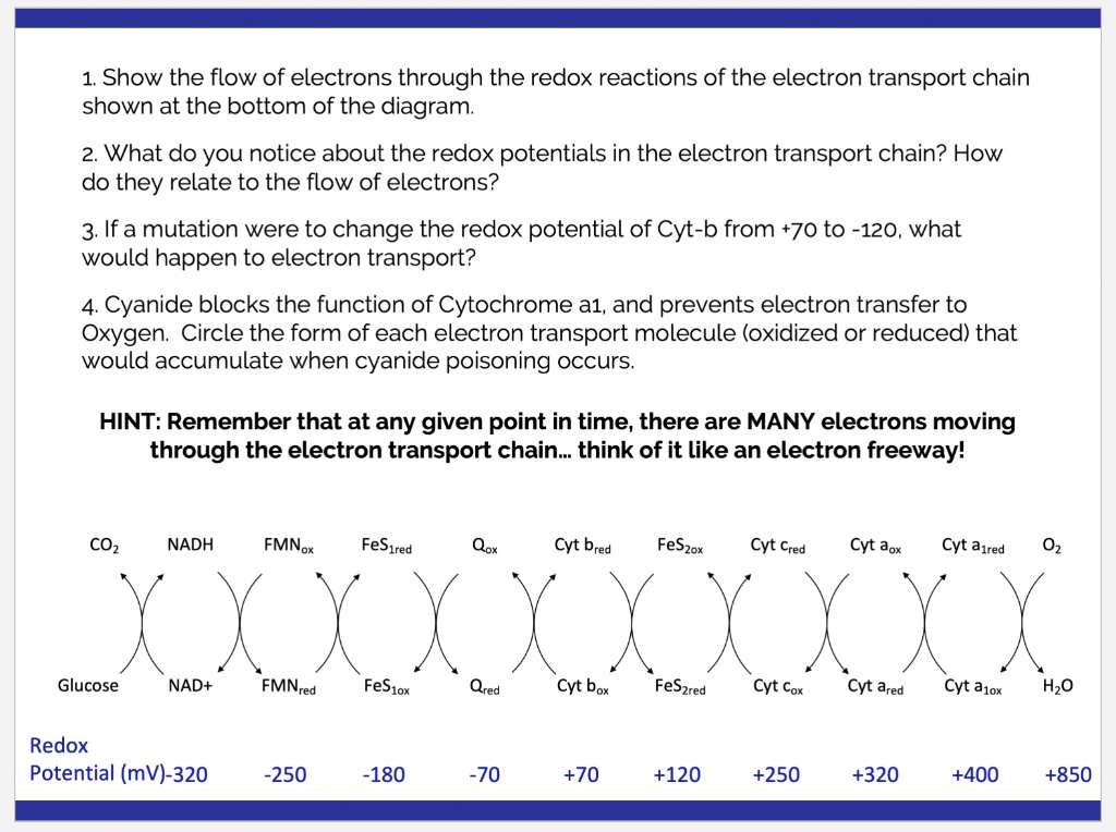 1. Show The Flow Of Electrons Through Redox Reactions 
