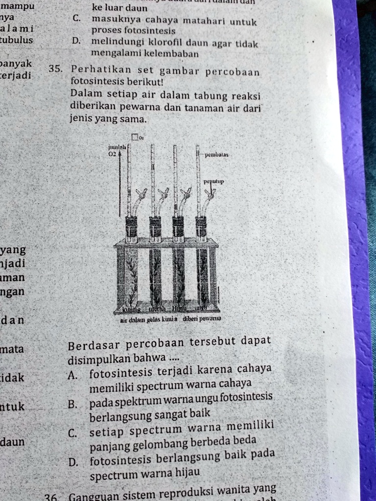 SOLVED: Perhatikan set gambar percobaan fotosintesis berikut! Dalam