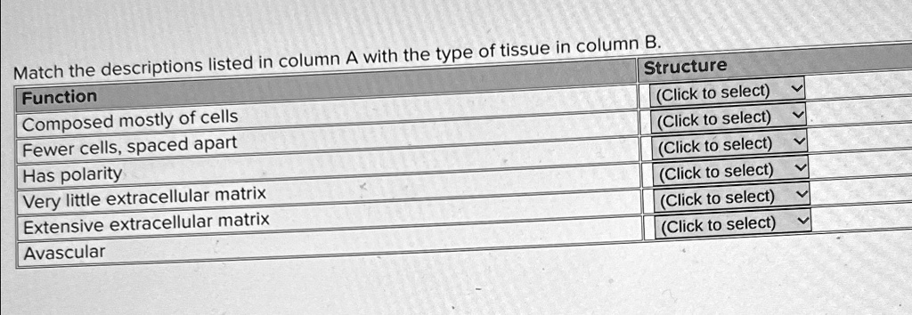 match the descriptions listed in column a with the type of tissue in ...