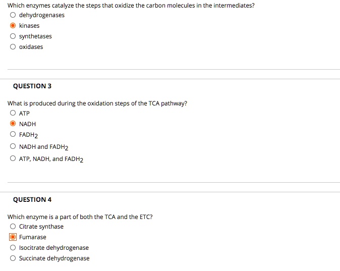 Which enzymes catalyze the steps that oxidize the carbon molecules in the intermediates?
dehydrogenases
kinases
synthetases
oxidases

QUESTION 3
What is produced during the oxidation steps of the TCA pathway?
ATP
NADH
FADH2
NADH and FADH2
ATP, NADH, and FADH2

QUESTION 4
Which enzyme is a part of both the TCA and the ETC?
Citrate synthase
Fumarase
Isocitrate dehydrogenase
Succinate dehydrogenase