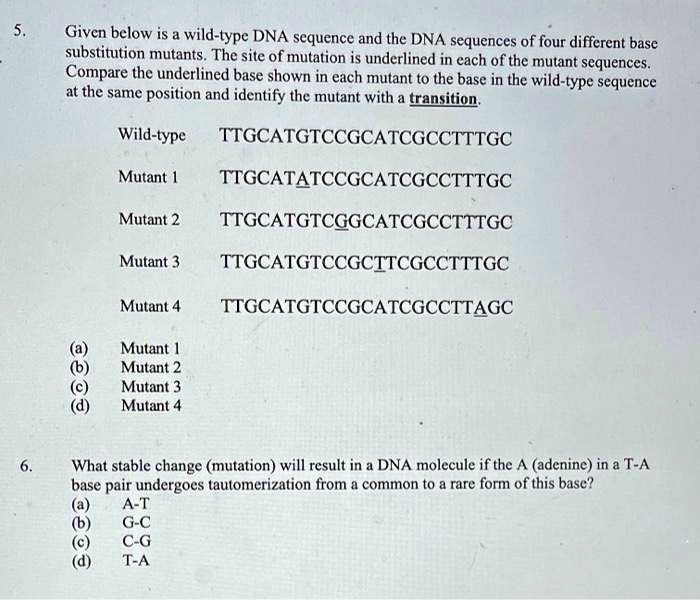 5. Given below is a wild-type DNA sequence and the DNA sequences of ...