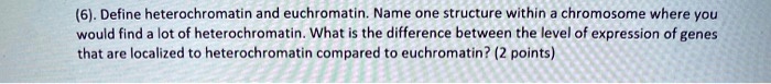 Define heterochromatin and euchromatin. Name one structure within a chromosome where you would find a lot of heterochromatin. What is the difference between the level of expression of genes that are localized to heterochromatin compared to euchromatin?