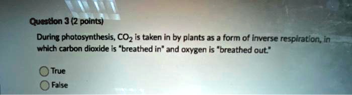 During photosynthesis, CO2 is taken in by plants as a form of inverse respiration, in which carbon dioxide is "breathed in" and oxygen is "breathed out."