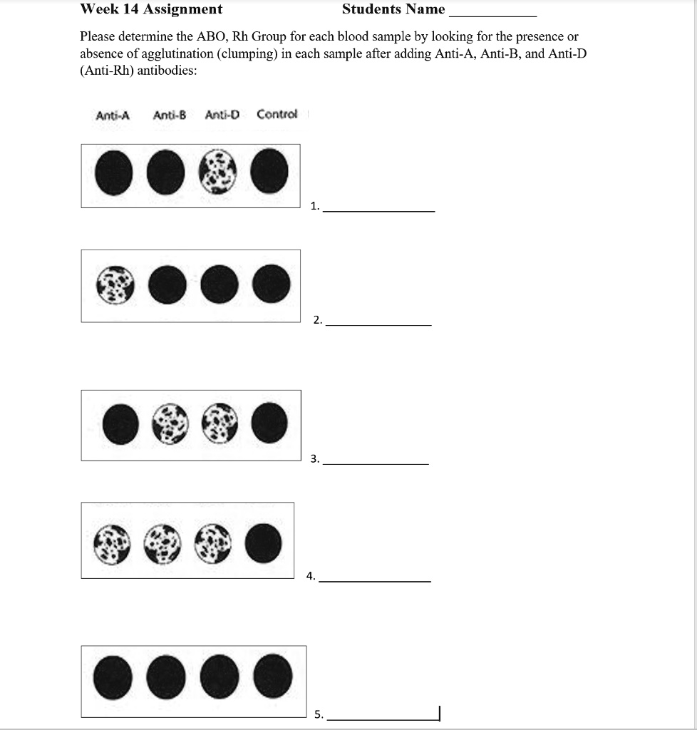 SOLVED: Week 14 Assignment Students Name Please Determine The ABO, Rh ...