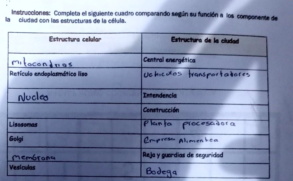 SOLVED: Solo Es El Que Dice Construcción Instrucclones: Completa El ...