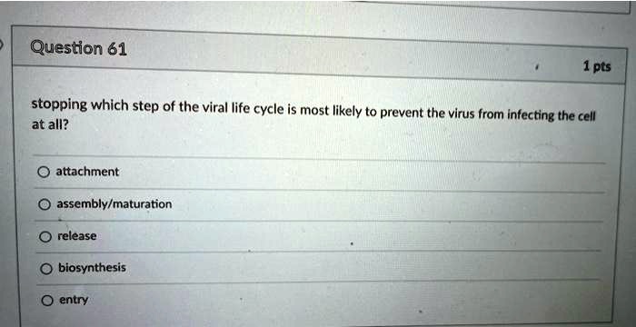 stopping which step of the viral life cycle is most likely to prevent the virus from infecting the cell at all?

attachment
assembly/maturation
release
biosynthesis
entry