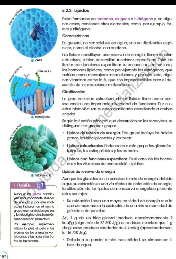 SOLVED: Realiza Una Rueda De Atributos De Las Características Y ...