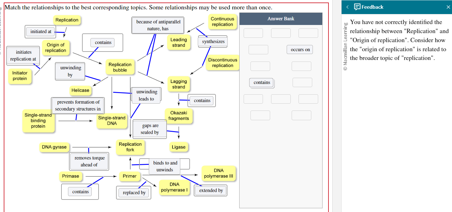 Match the relationships to the best corresponding topics. Some relationships may be used more than once.

Replication
initiated at
Origin of replication
initiates replication at
Initiator protein
contains
Replication bubble
because of antiparallel nature, has
Leading strand
Lagging strand
Continuous replication
synthesizes
Discontinuous replication
unwinding by
Helicase
prevents formation of secondary structures in
Single-strand DNA
unwinding leads to
contains
Okazaki fragments
gaps are sealed by
Ligase
Single-strand binding protein
DNA gyrase
removes torque ahead of
Replication fork
binds to and unwinds
Primase
contains
Primer
replaced by
DNA polymerase I
extended by
DNA polymerase III

Answer Bank
occurs on
contains